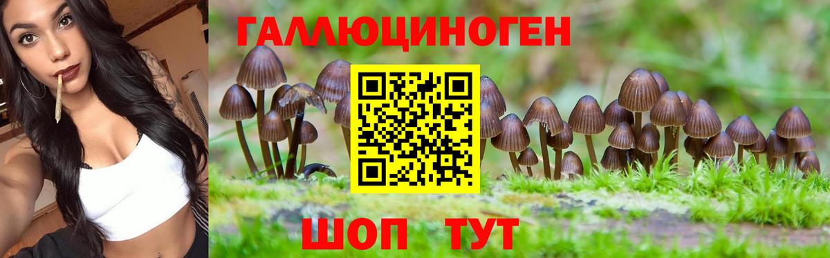 Галлюциногенные грибы мухоморы Уссурийск
